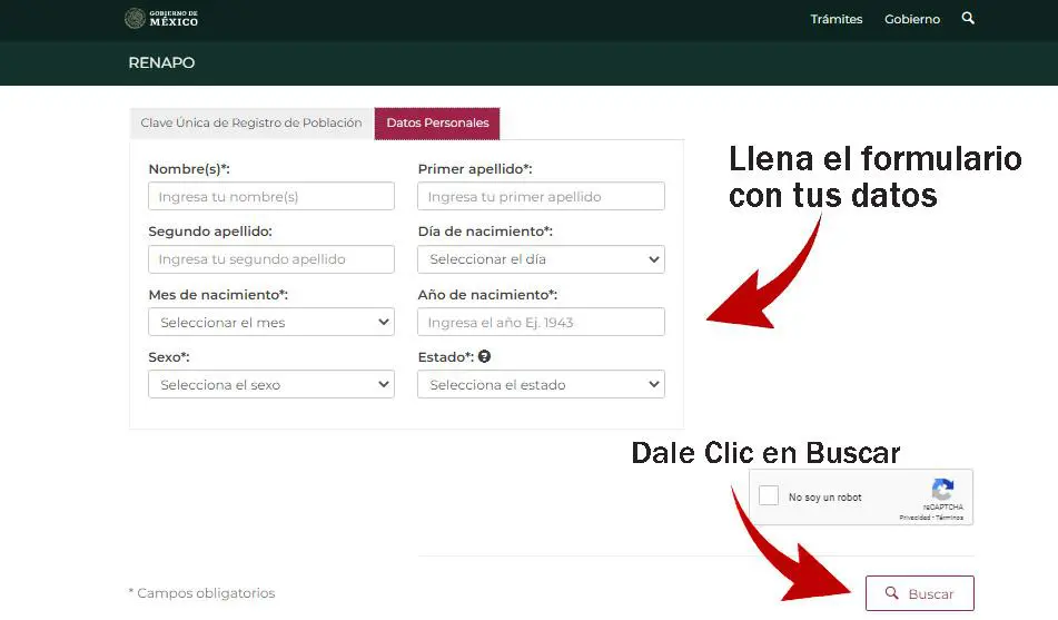 Ecurp Conoce Como Descargar Tu Curp Digitalizada