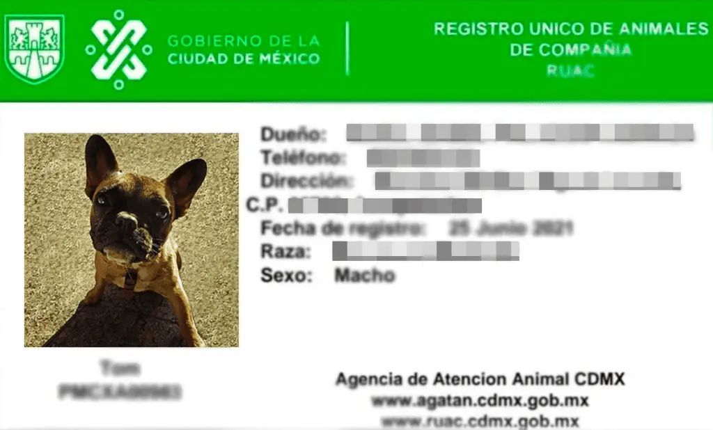 Registro único para animales de compañía. curp para mascotas